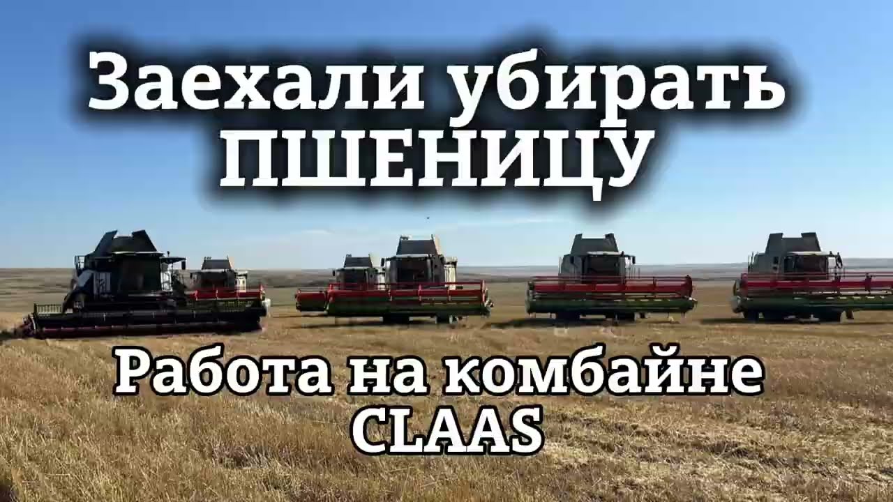 Зашли убирать ТВЕРДУЮ пшеницу | Работаем на CLAAS TUKANO 340 | Мужики молотят зерно