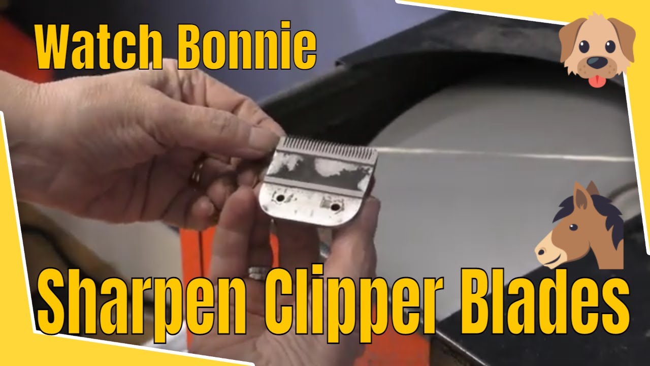 Clipper Blade Sharpening Demonstration - Real Life | Bonika Shears
