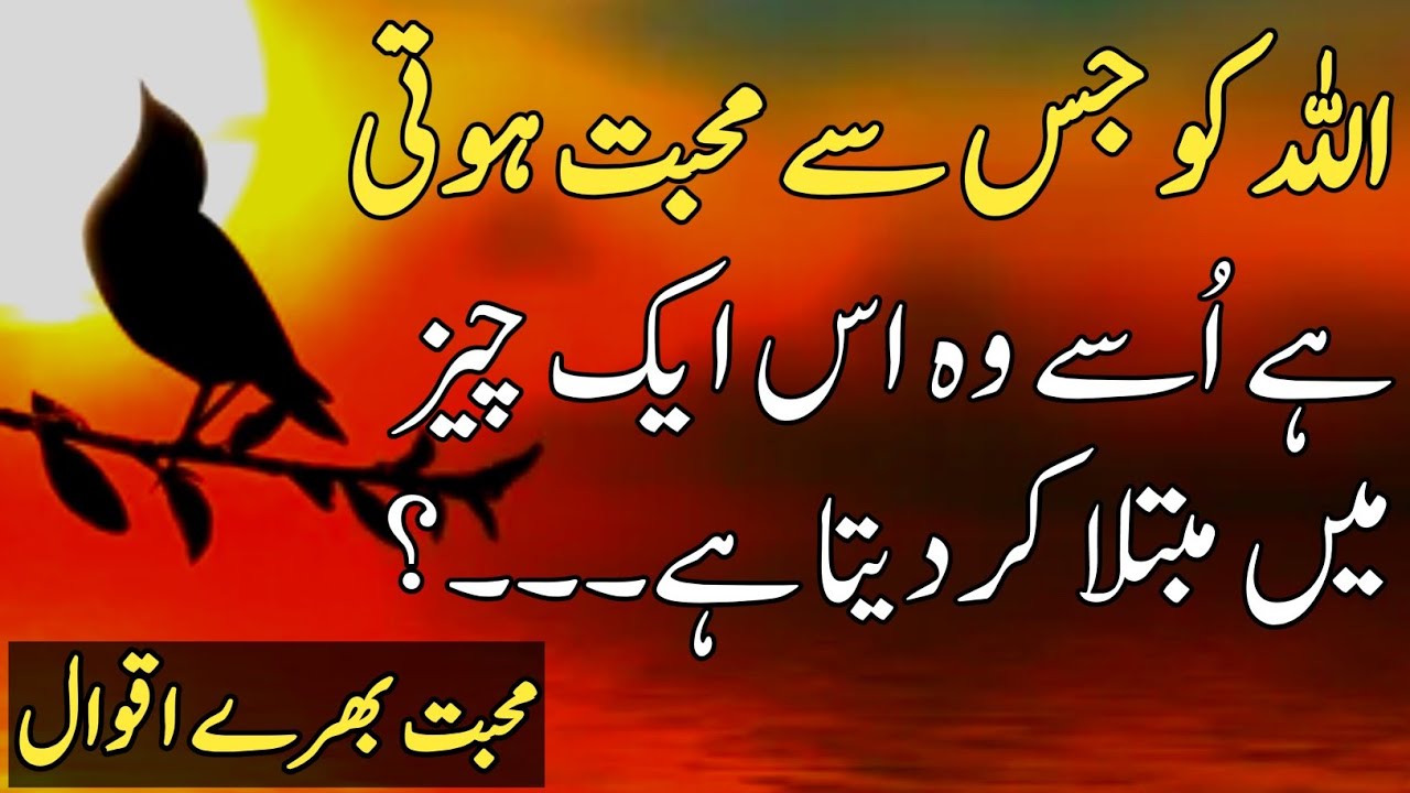 Allah Aur Mohbbat? Quotes About Allah In Urdu | Islamic Quotes Urdu | Beautiful Urdu Quotes Rahe Haq