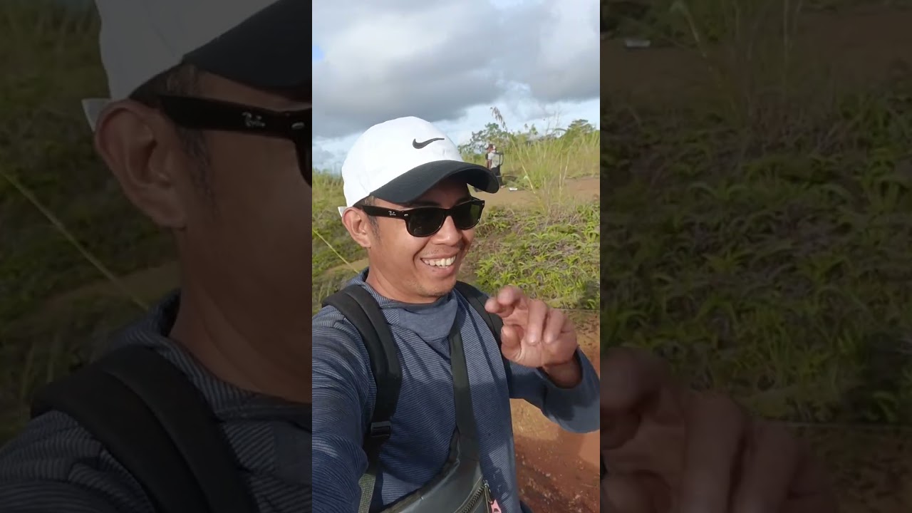 CACAO HARVEST. CALINAN TAWAN-TAWAN D,C.