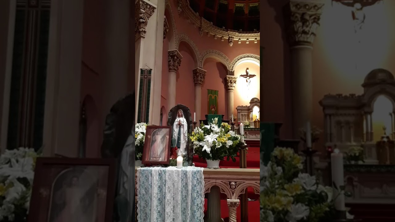 Novena to Our Lady of Lourdes, Holy Rosary and Divine Mercy Chaplet Sunday, February 8, 2026 3:00pm