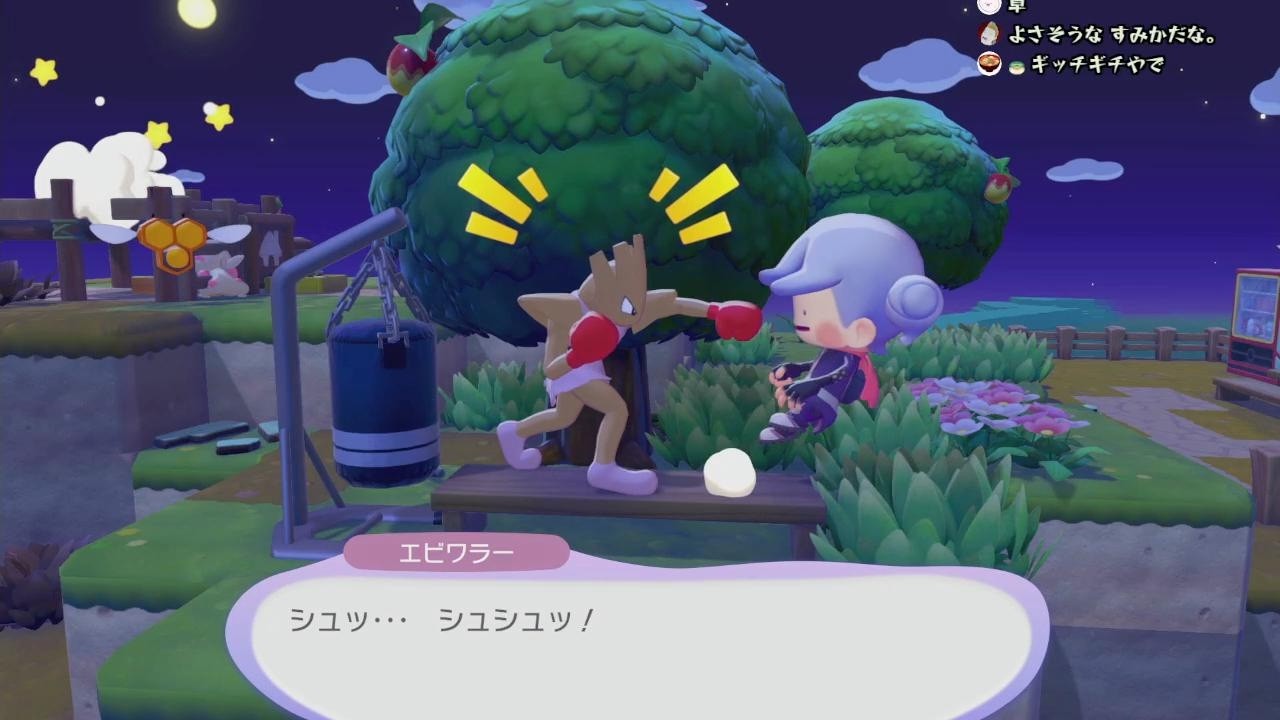 大会前のちるぽこ２日目