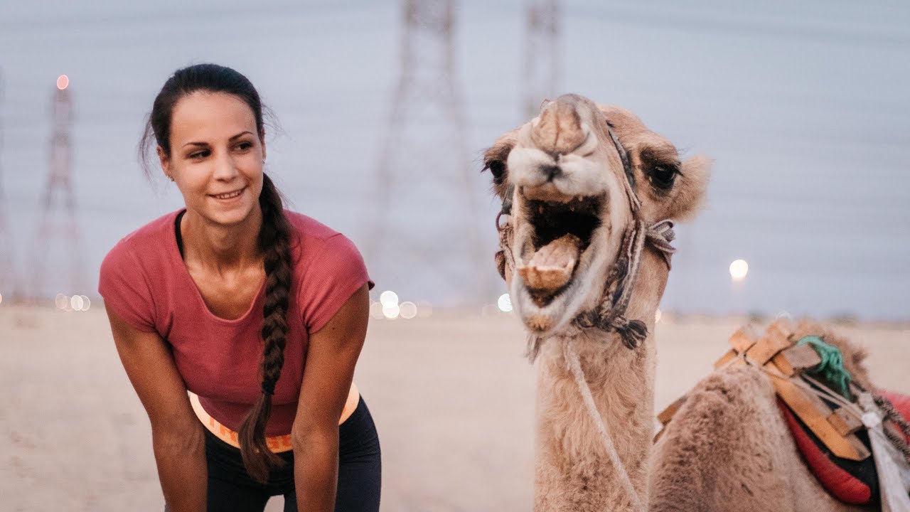 THE BEST OF KUWAIT DESERT - Funny moments with Camels