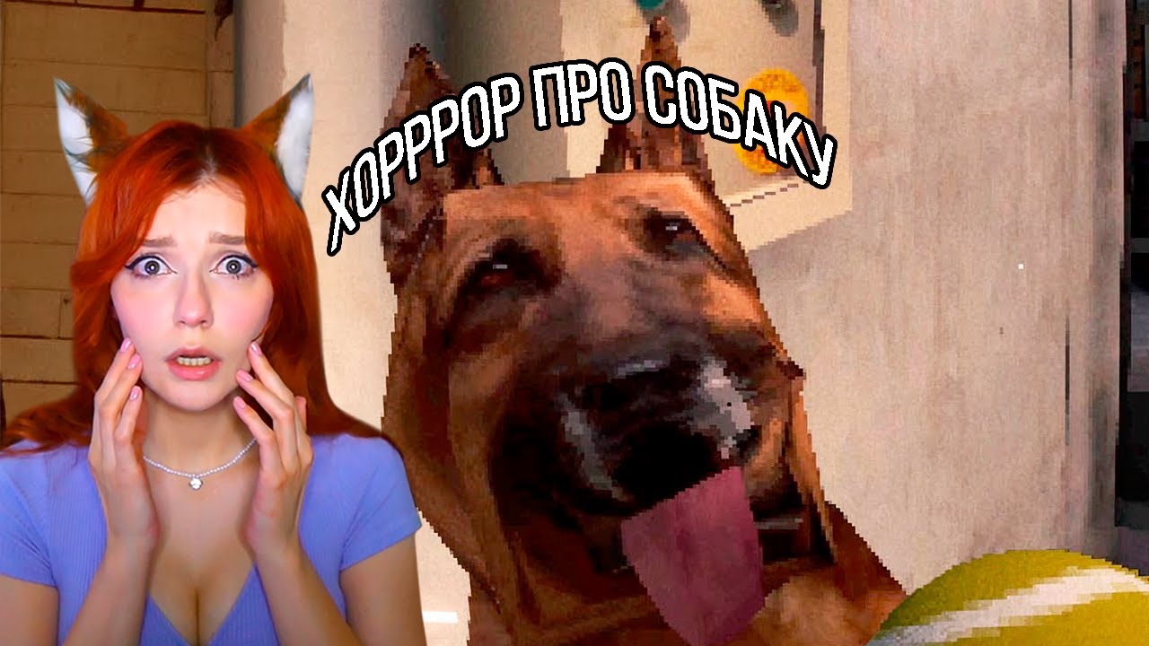 Собака 🐎 Валера Гостер ( Valera Ghosther ) Реакция