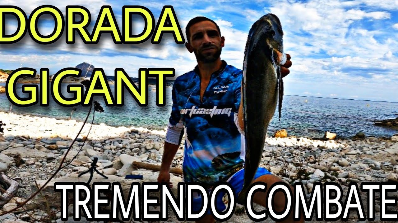 GIGANT DORADA 🇪🇸 MAGNUS FISHING🇪🇸GRAN ORATA‼️SPARUS AURATA‼️UN DIA MAS PARA EL RECUERDO
