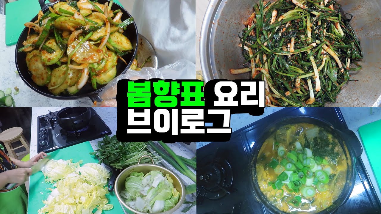 요리 브이로그 / 청국장 / 배추 / 참나물 / 오이무침 / 파김치
