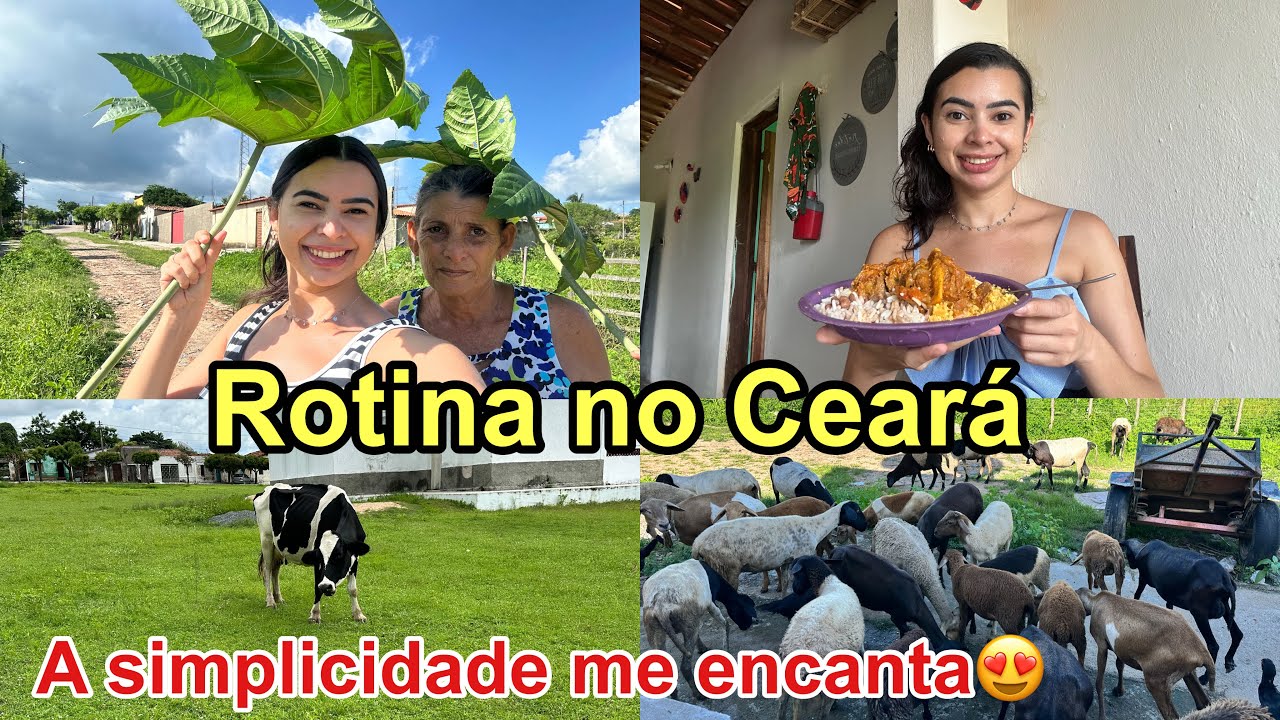 ROTINA SIMPLES na ROÇA, COMI PIABA FRITA e VISITAMOS a CASA do MEU AVÔ NO INTERIOR do CEARÁ 🌵