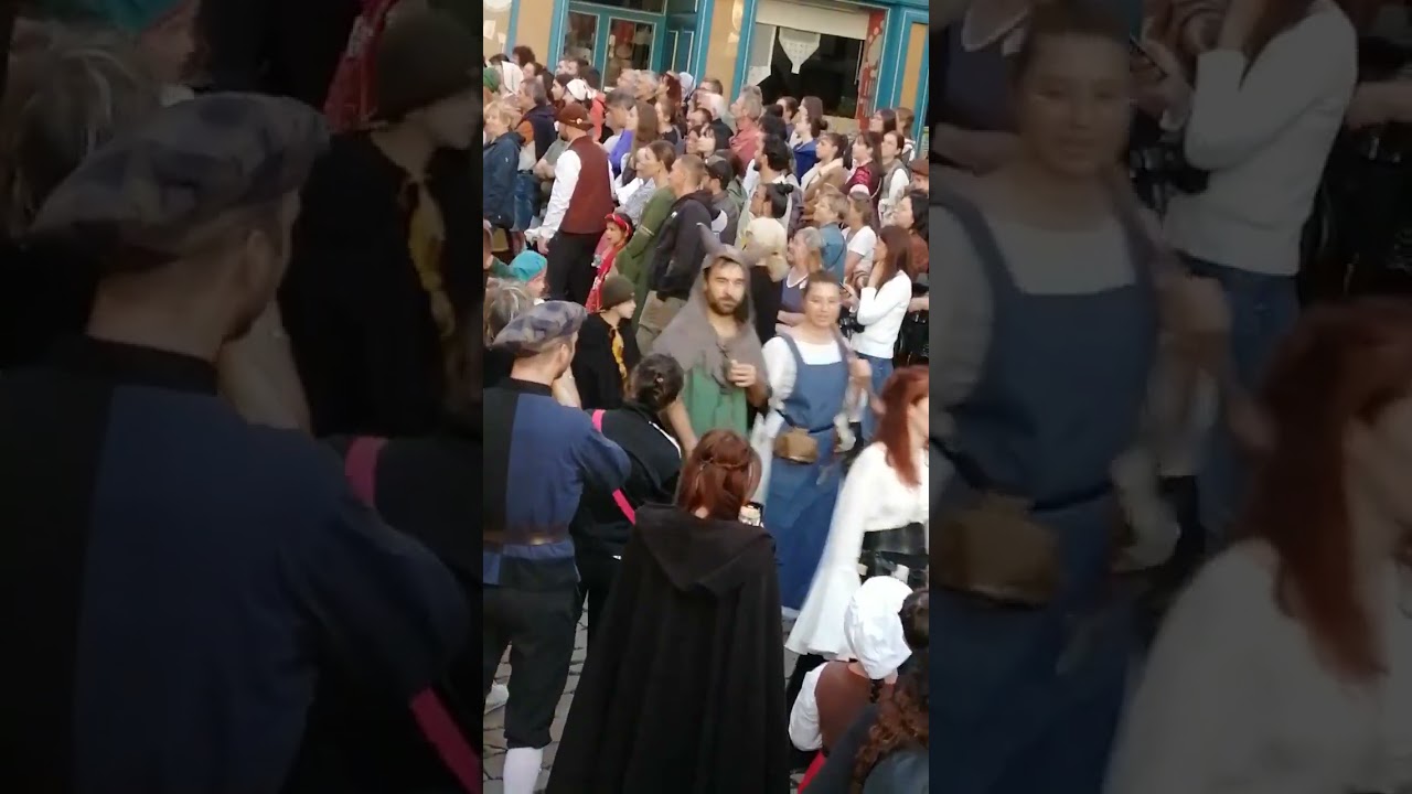 Fêtes du Roi de L'oiseau mercredi 17 septembre 2025 au Puy-en-Velay : ouverture