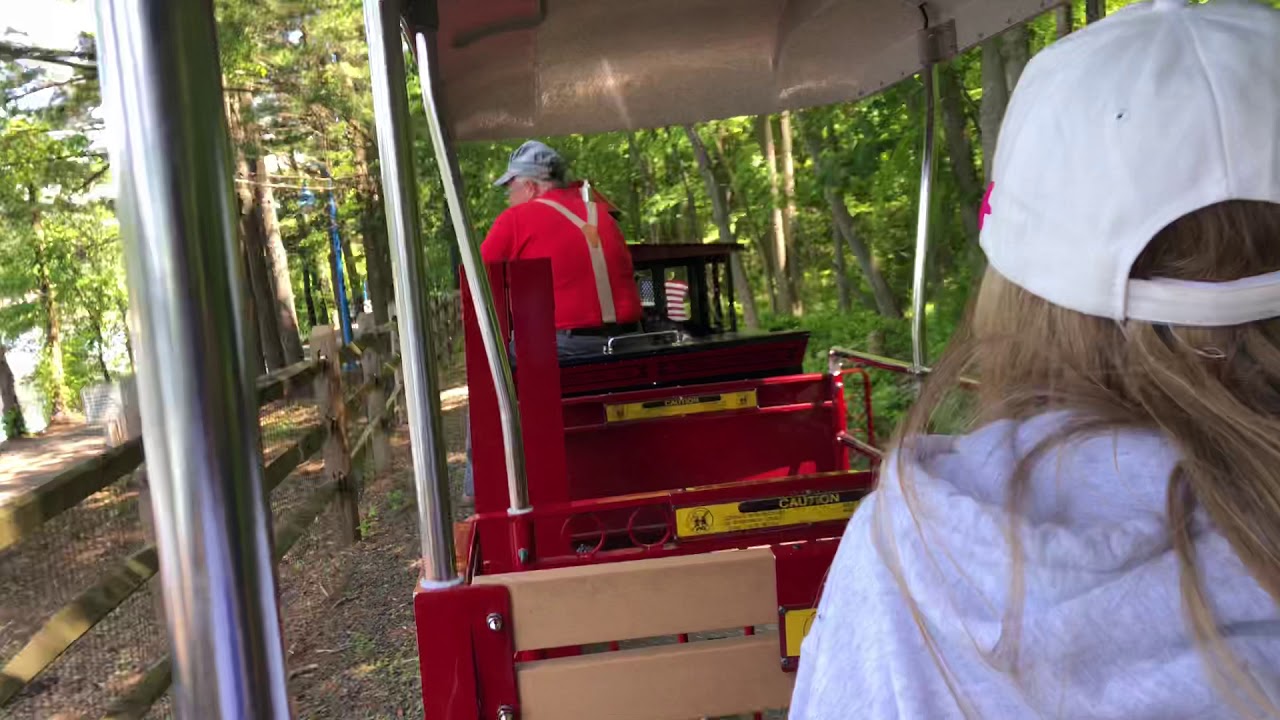 Turtleback Zoo Railway