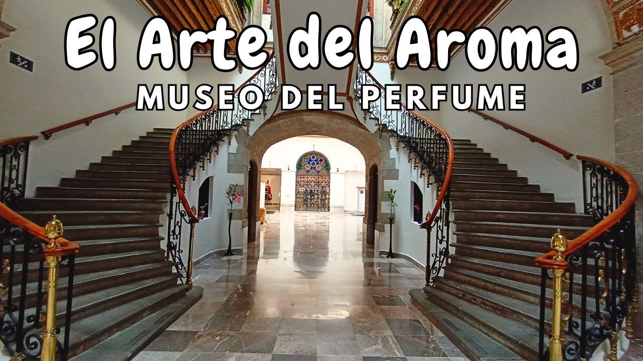 ¡MEGA EXPERIENCIA AROMÁTICA! Conoce 