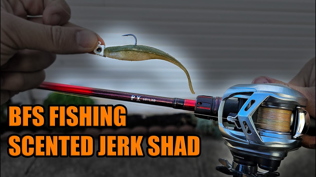 BFS Fishing Z-Man Scented Jerk ShadZ on a Jig!
