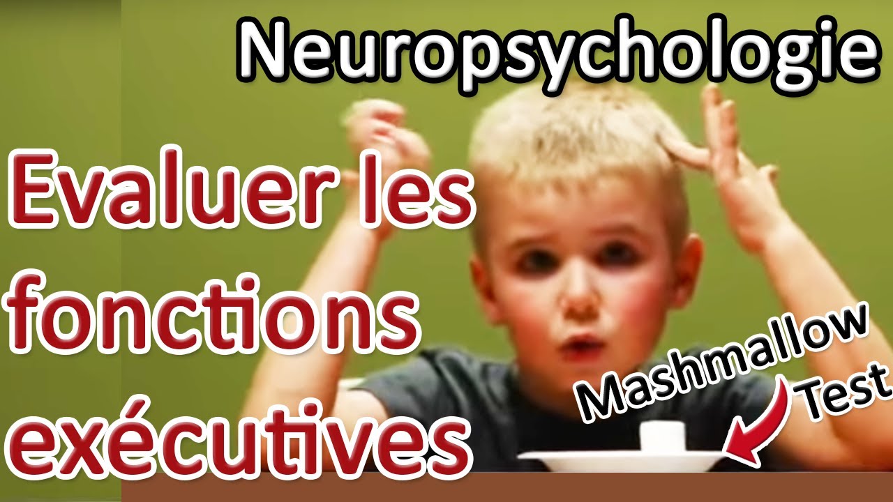 [NEUROPSY] Les stratégies d'évaluation des fonctions exécutives