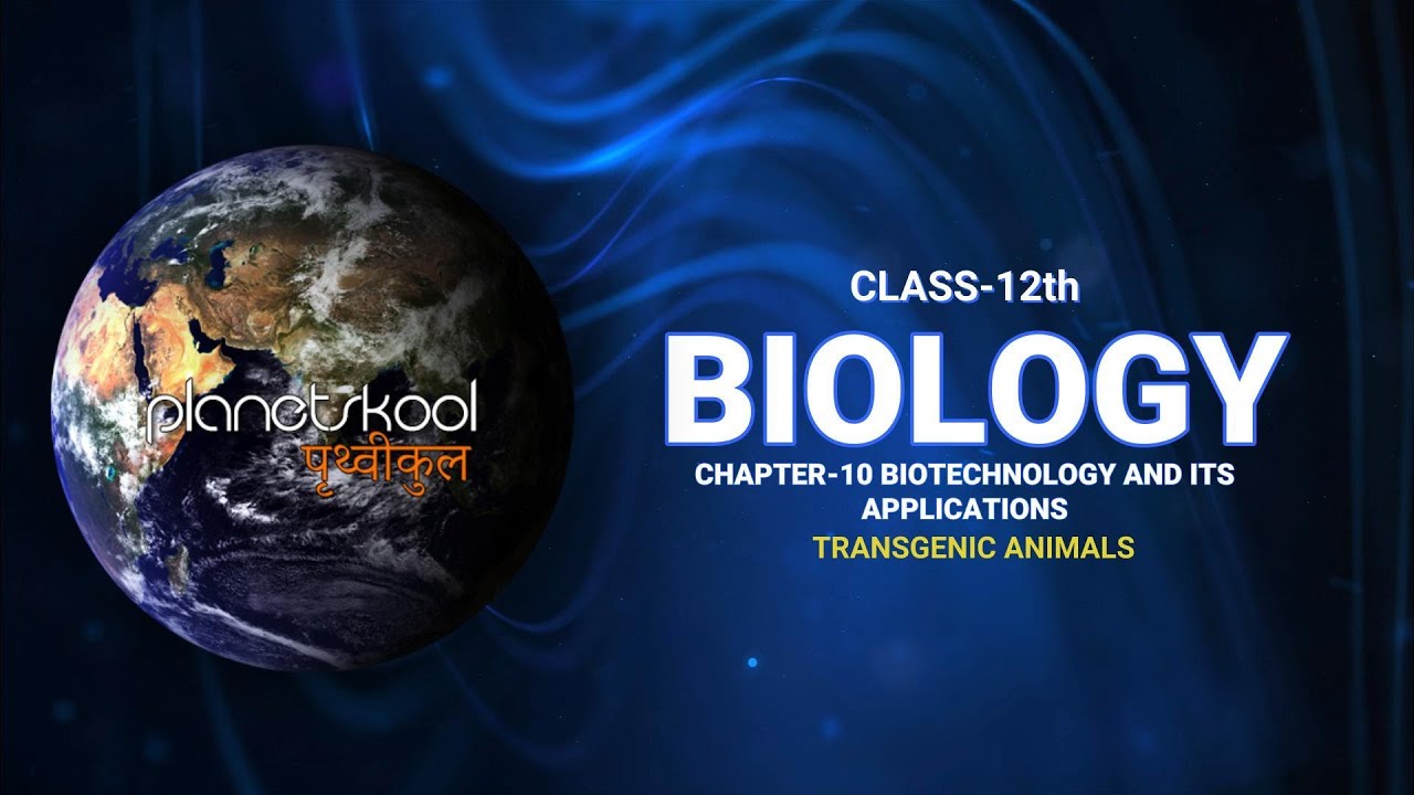 NCERT | Class-12th | Biology | Chapter-10 | Topic - Transgenic Animals