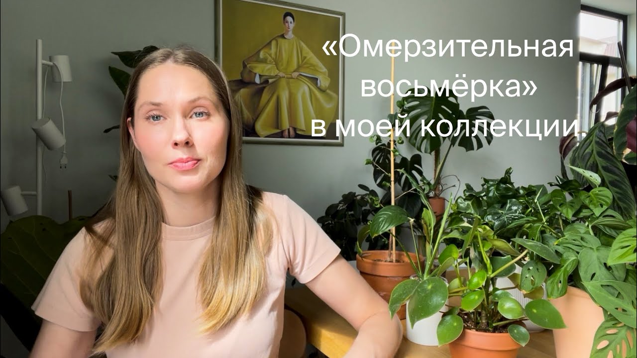 Топ растений, которые страдают от моего ухода.