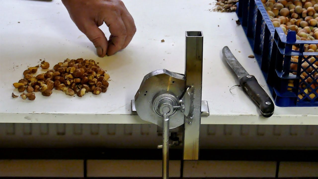 Haselnüsse sammeln ,Nussknacker/Собираем фундук,орехoкол / Collecting hazelnuts, nutcracker /