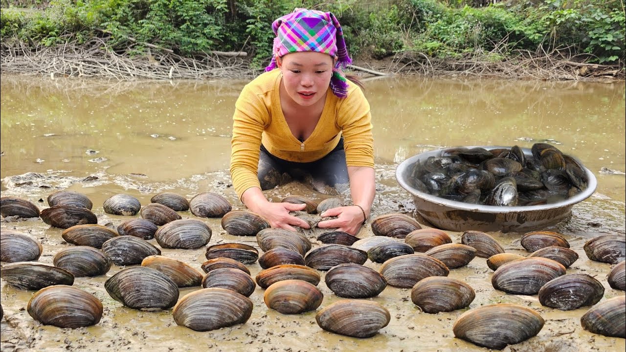 Harvesting Mussels to Sell at the Market - Flower Garden Care and Take Corn Sun-Dried Give Chickens.