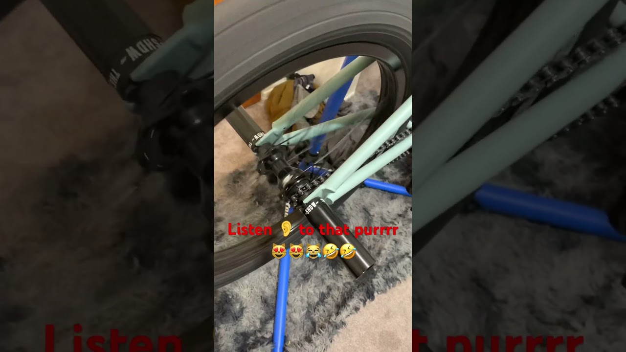 Kink whip xl rear hub sound