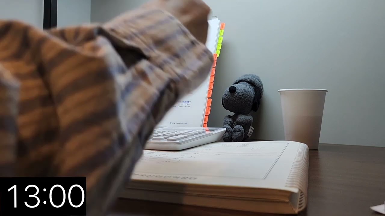 STUDY WITH GREY PEANUTS 🥜  (REAL SOUND 📚 STREAM SOUND 🌿)