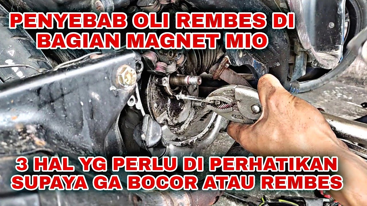 CARA MENGGANTI SEAL MAGNET / KRUKAS MIO