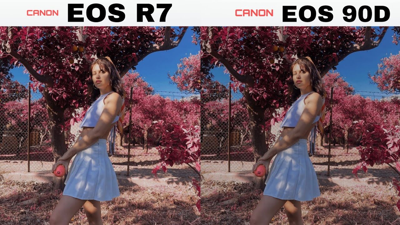 Canon EOS R7 vs Canon EOS 90D | Camera Test