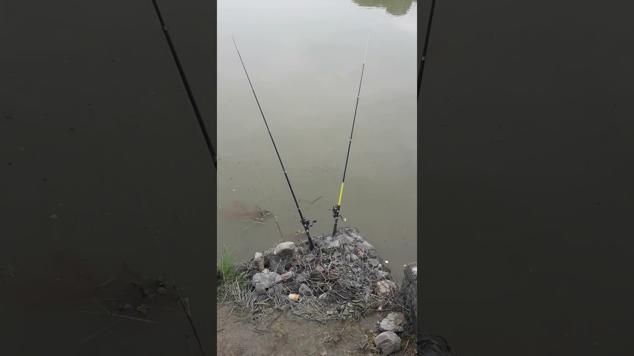 aaja hami aata tira xam frind pokhara lakeside fishing time