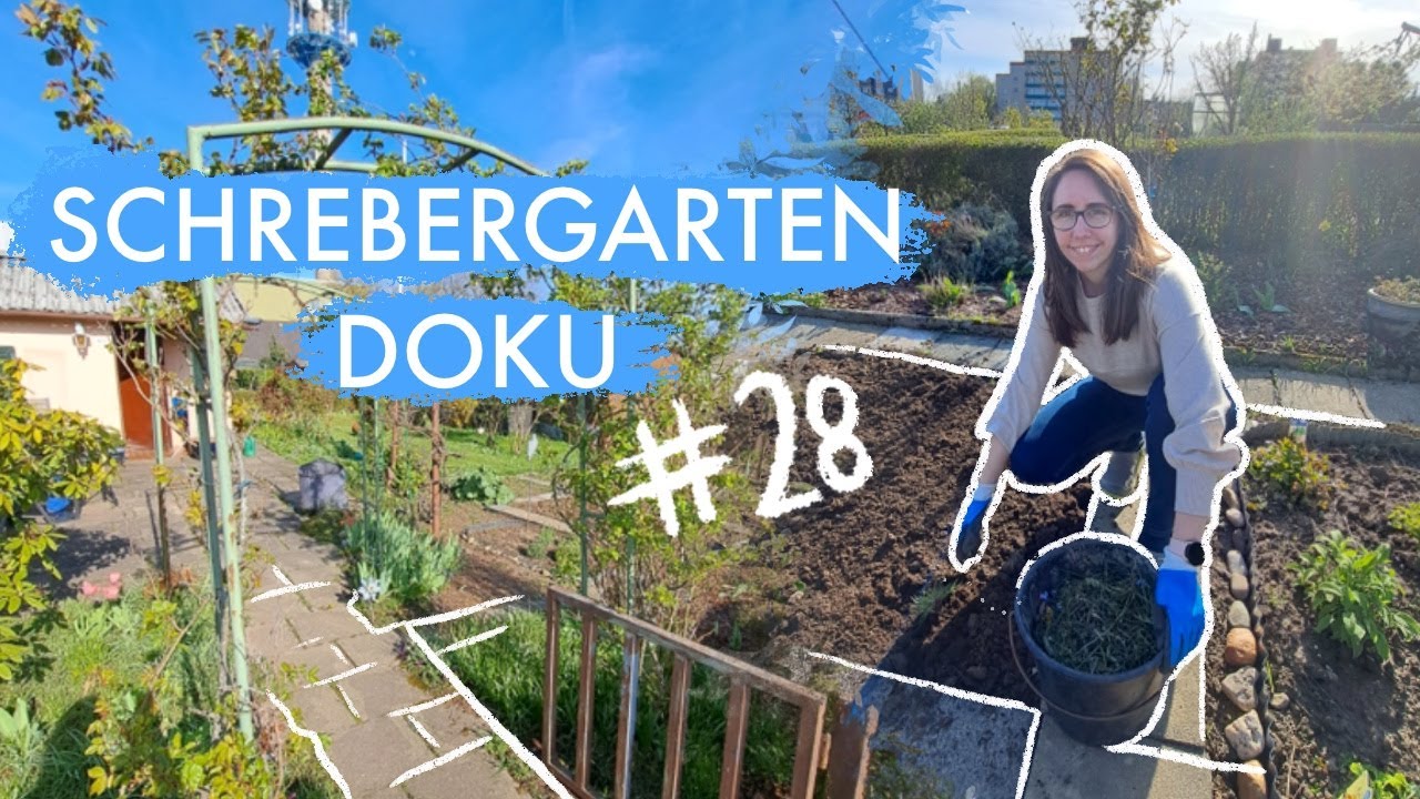 Schrebergarten Doku #28: Rasen mähen, Beete lockern & Möhren aussäen | MICEKÖRNCHEN