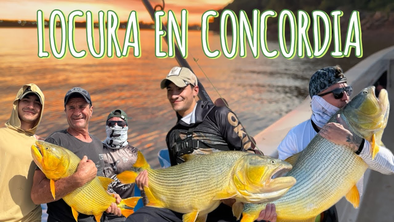 APARECIERON LAS BESTIAS! Pesca de Dorados Gigantes! 2 días de  pesca en el río Uruguay