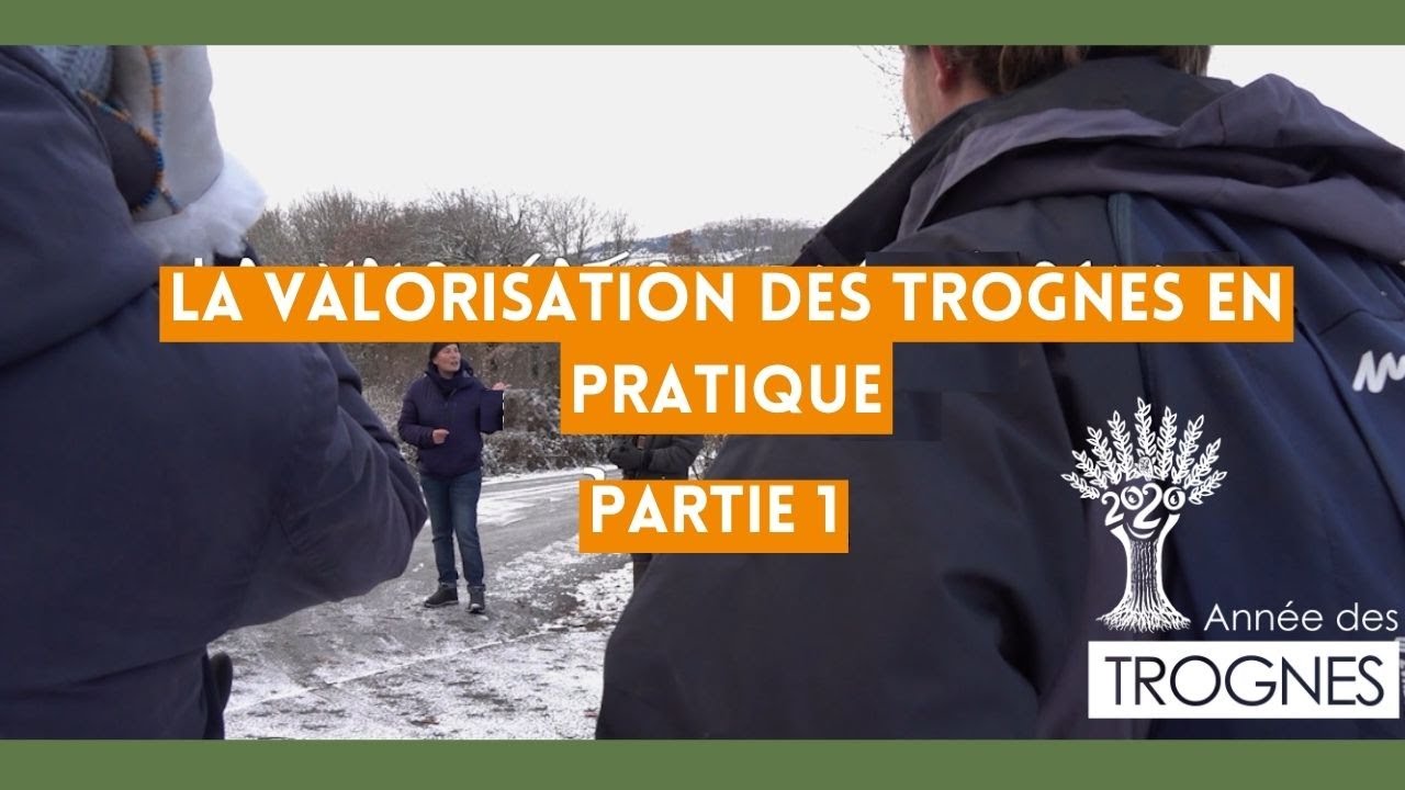 Partie 1 - Techniques de restauration des trognes anciennes - JNT 2021