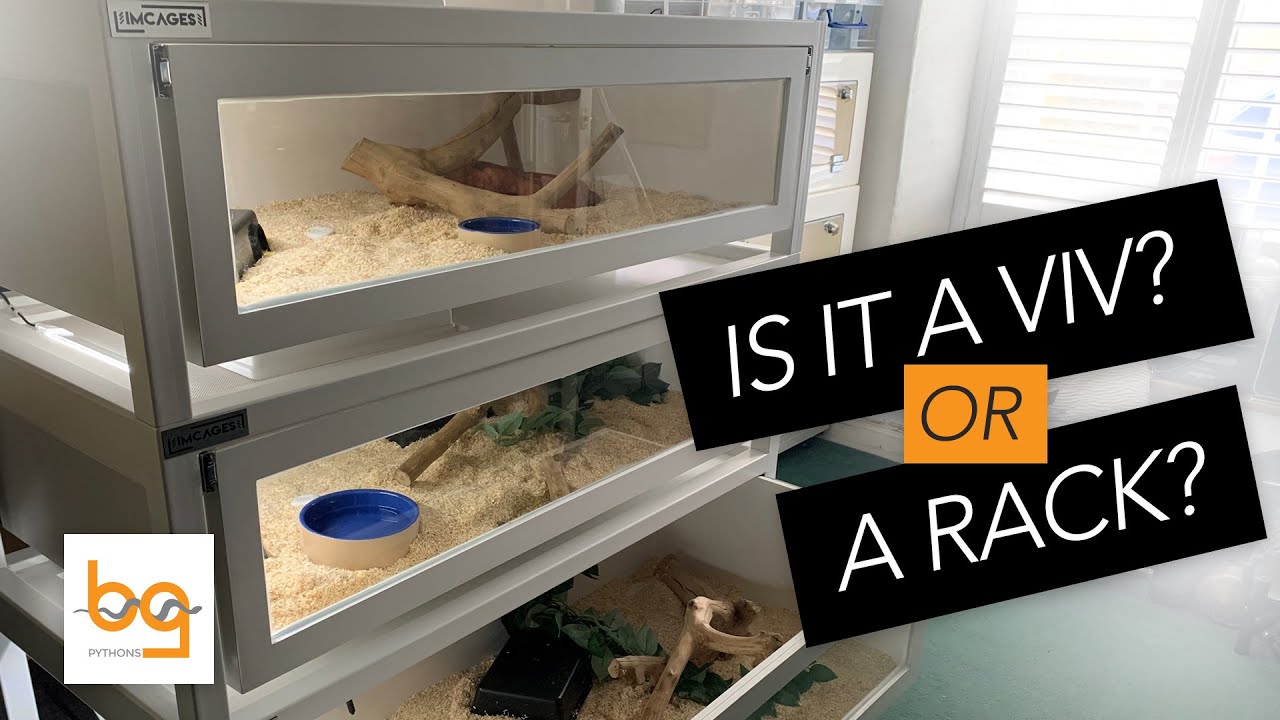 IMCages Rack Review | The best racking system for snakes