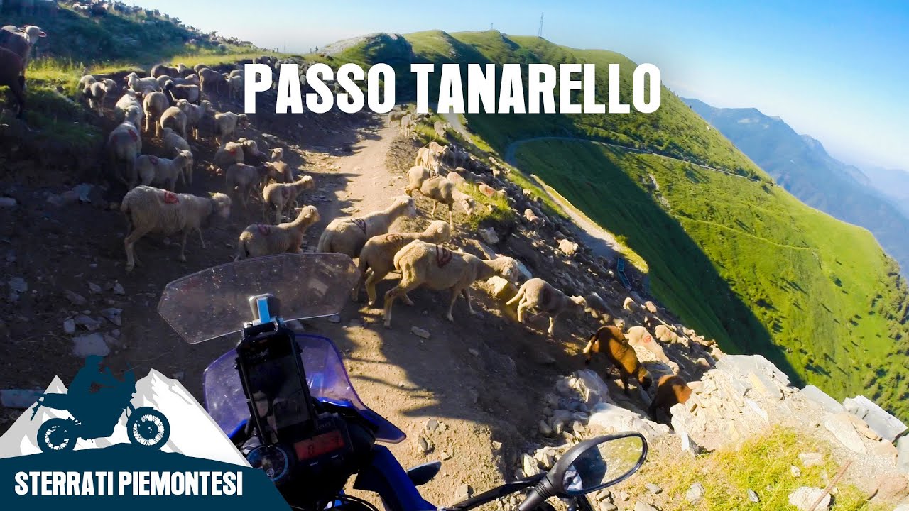 PASSO TANARELLO: FRANA DI CAPRE [STERRATI PIEMONTESI EP. 5]