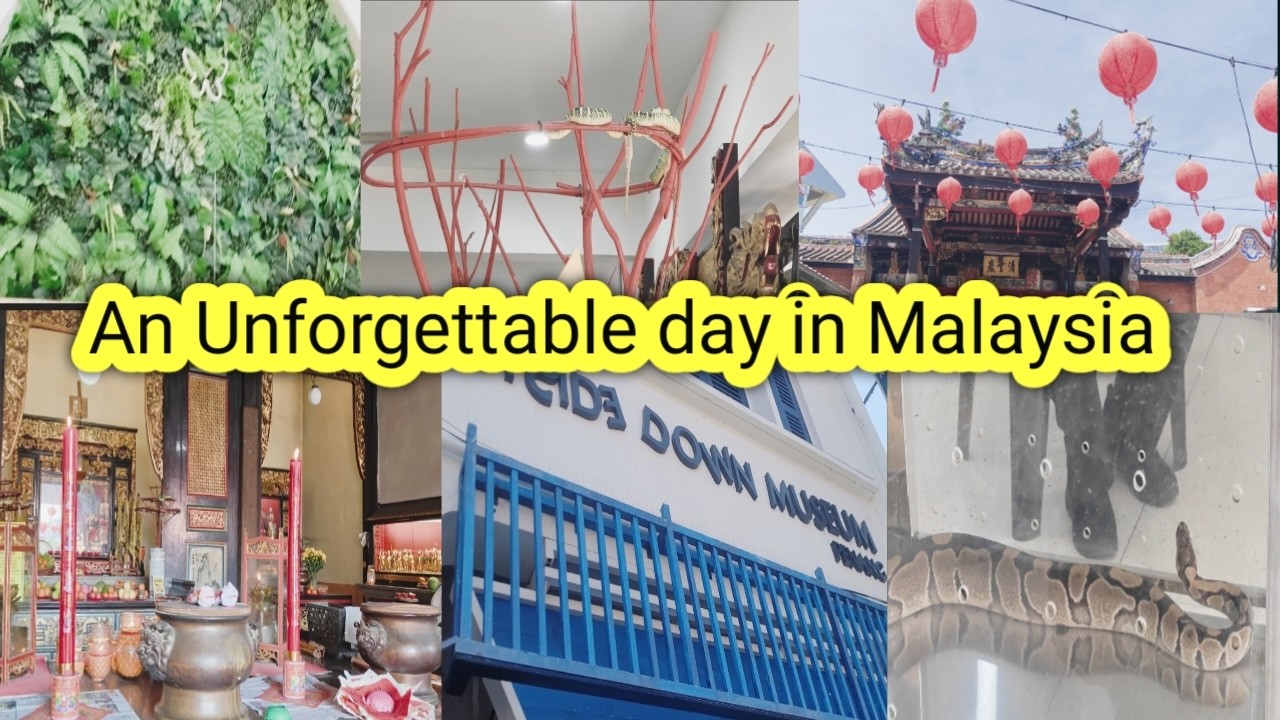 An Unforgettable Day in Snake Temple, Penang in Malaysia!