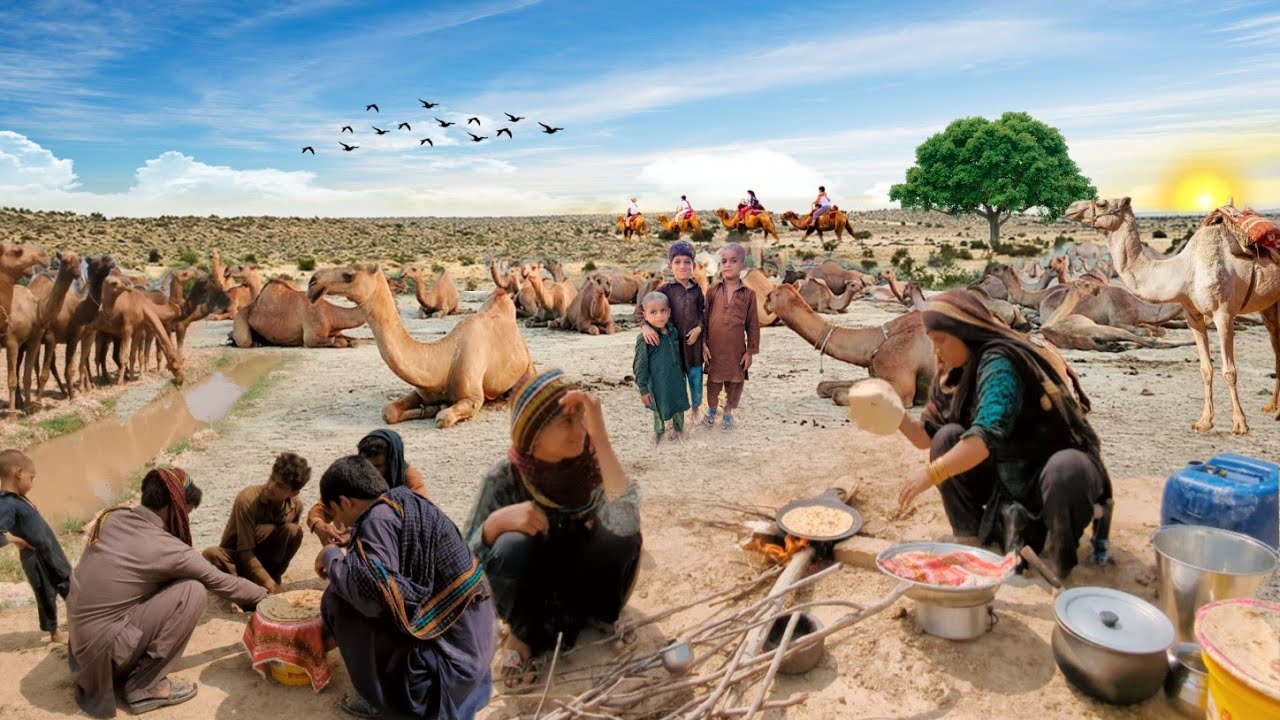 People living in the desert and their morning routine | Camel herders desert life style Punjab