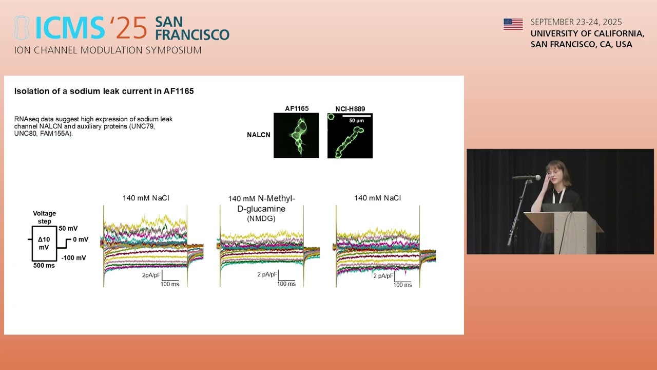 Exploring the excitability of neuroendocrine cancer cells