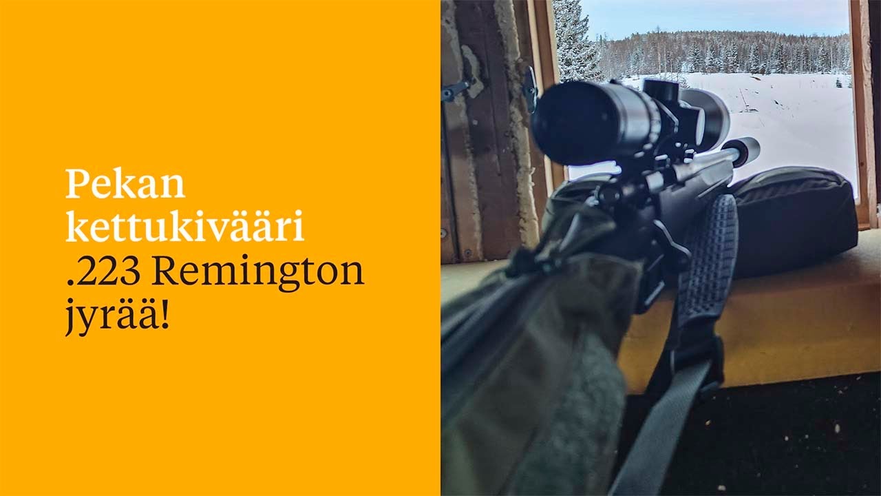 Pekan kettukivääri – .223 Remington jyrää!