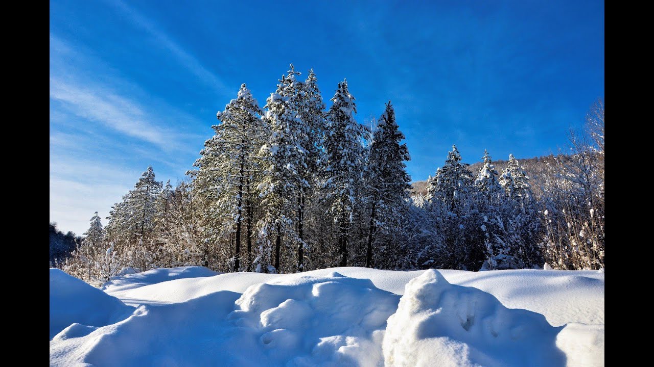 Kanal Ege Canlı Yayını