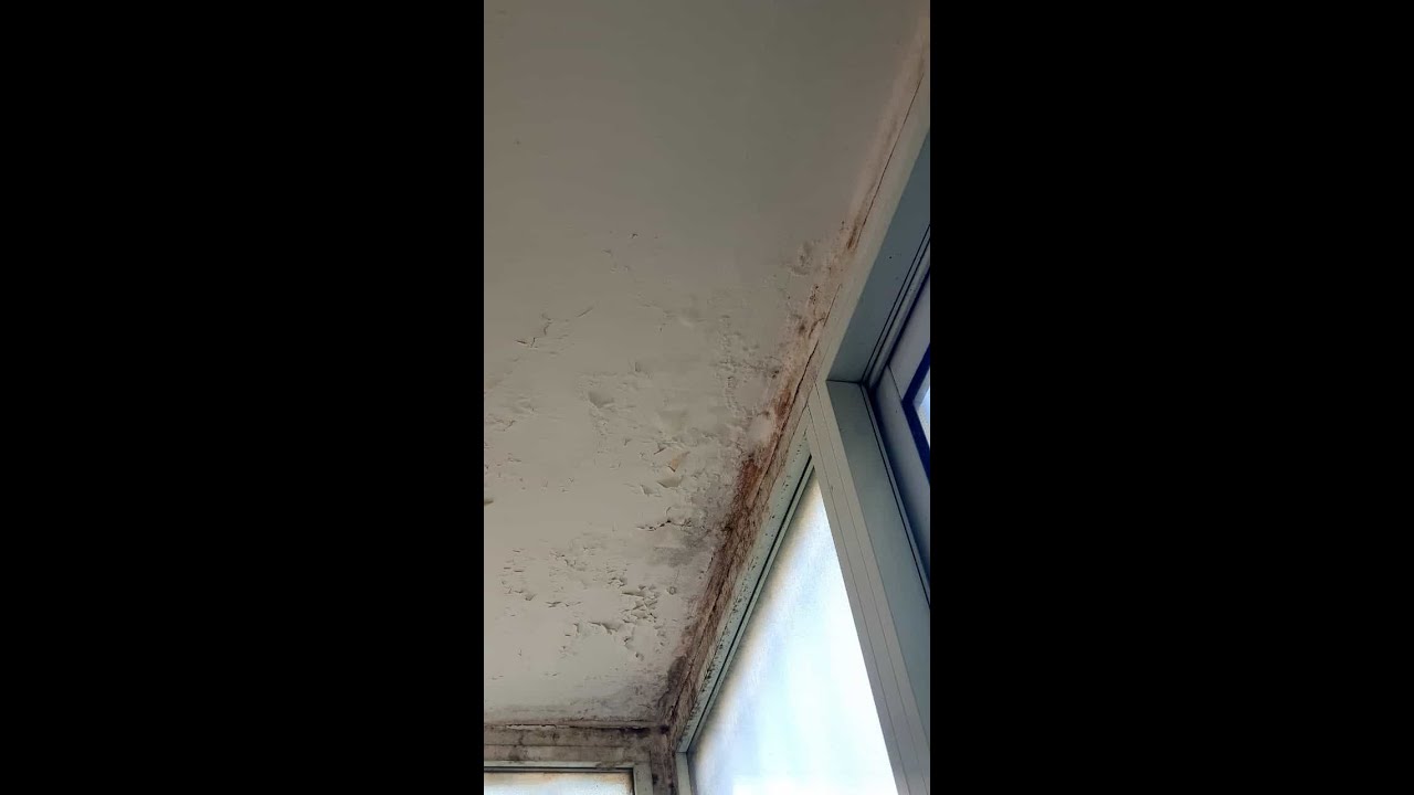 איטום חלון, איך אוטמים חלונות? יש סוגים של רטיבות וסוגים שונים של חלונות. ישראל סקיגן מתקן ומסביר