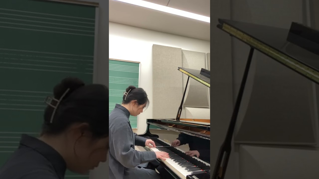 Rui Li Haydn sonata in C Major, the first movement