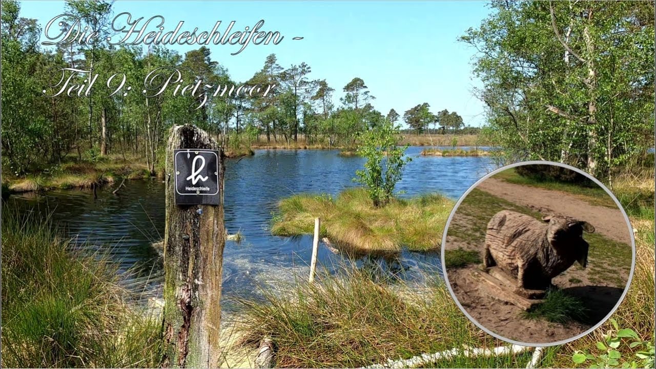 Pietzmoor - Die Heideschleifen Teil 9