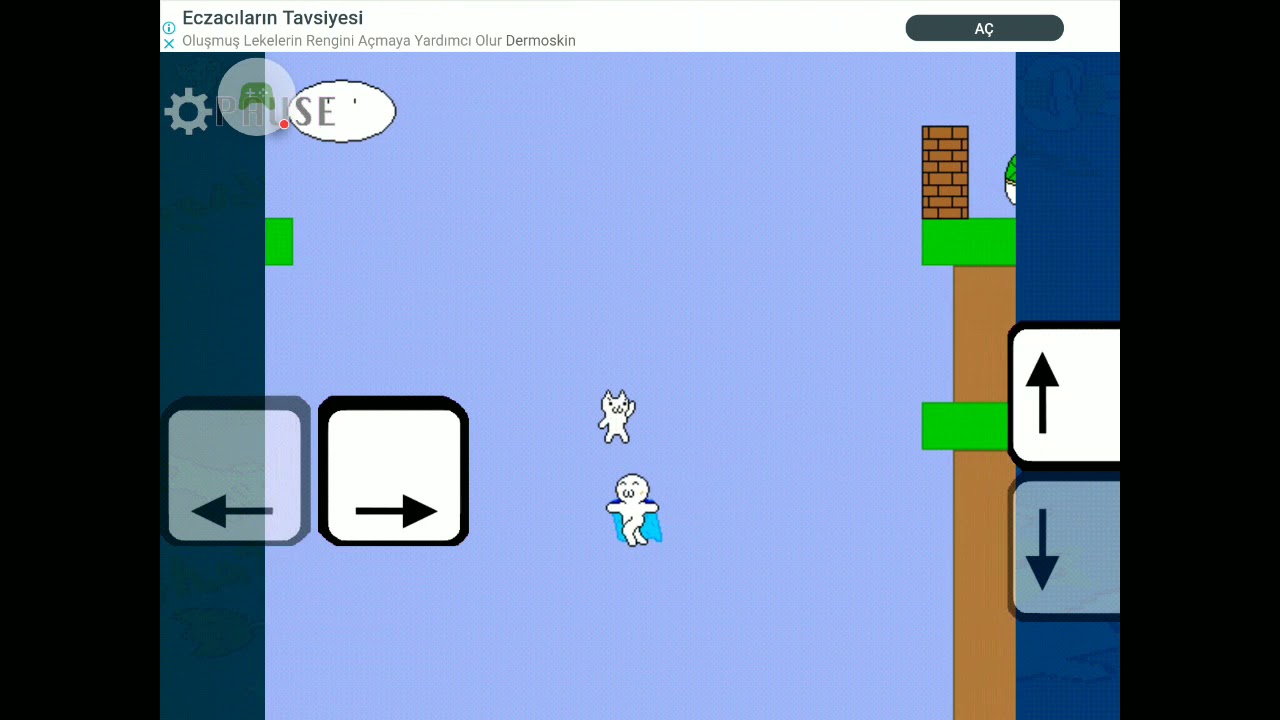 Completing Cat Mario 2-3 with NO DEATHS!