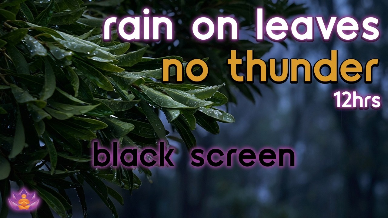 [Black Screen] Sheltered in Woods | Rain on Leaves – No Thunder | Sleep Rain Sounds