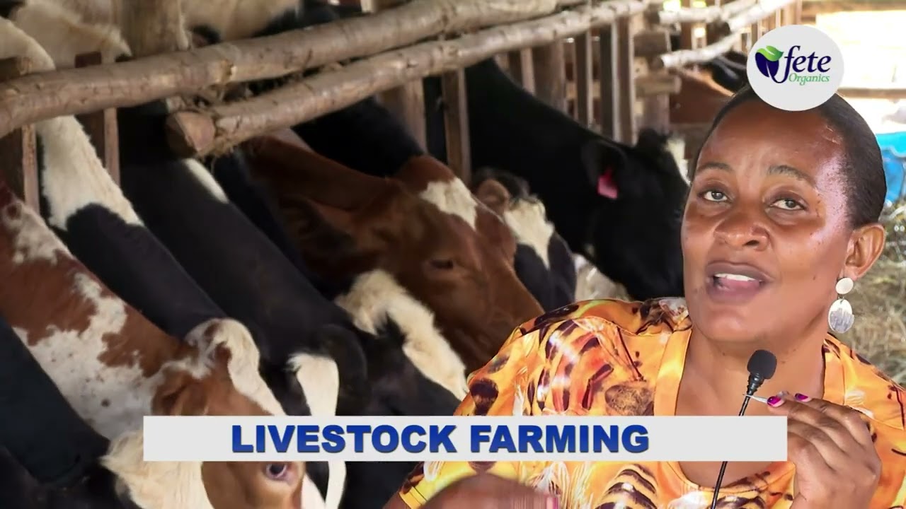 LIVESTOCK AT KASANJE DEMOONSTRATION AND PRACTICAL FARM