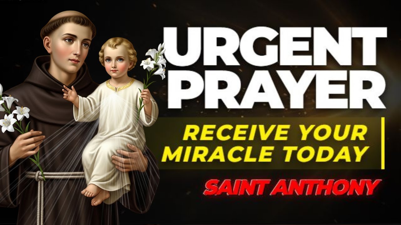 💖 Urgent Prayer to Saint Anthony: Receive Your Miracle TODAY! 🙏✨