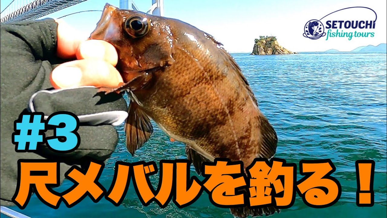 【#3 尺メバルを釣る！】サビキ編 in 岡山県宇野港発 瀬戸内海
