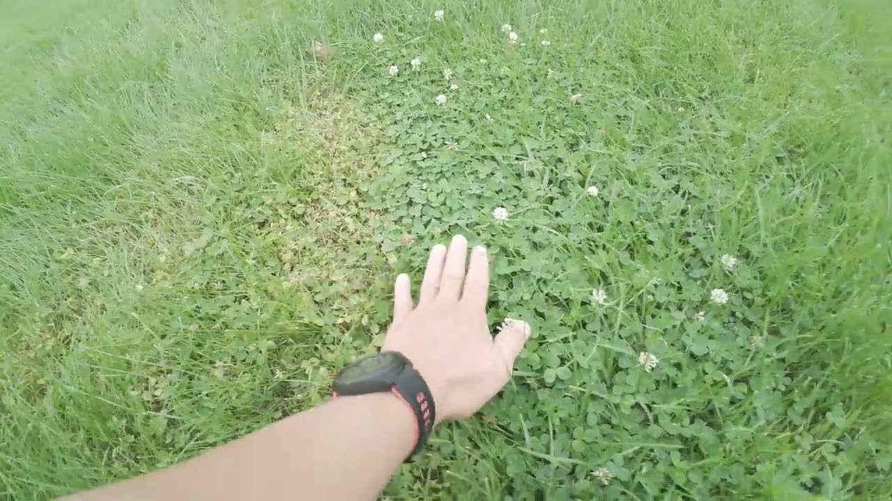 Sublime Herbicide