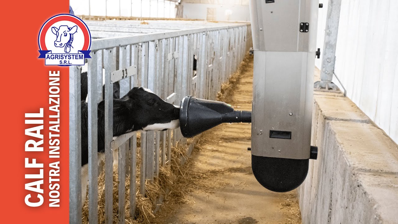 Nostra Installazione: Sistema di alimentazione automatico Calf Rail - Agrisystem srl