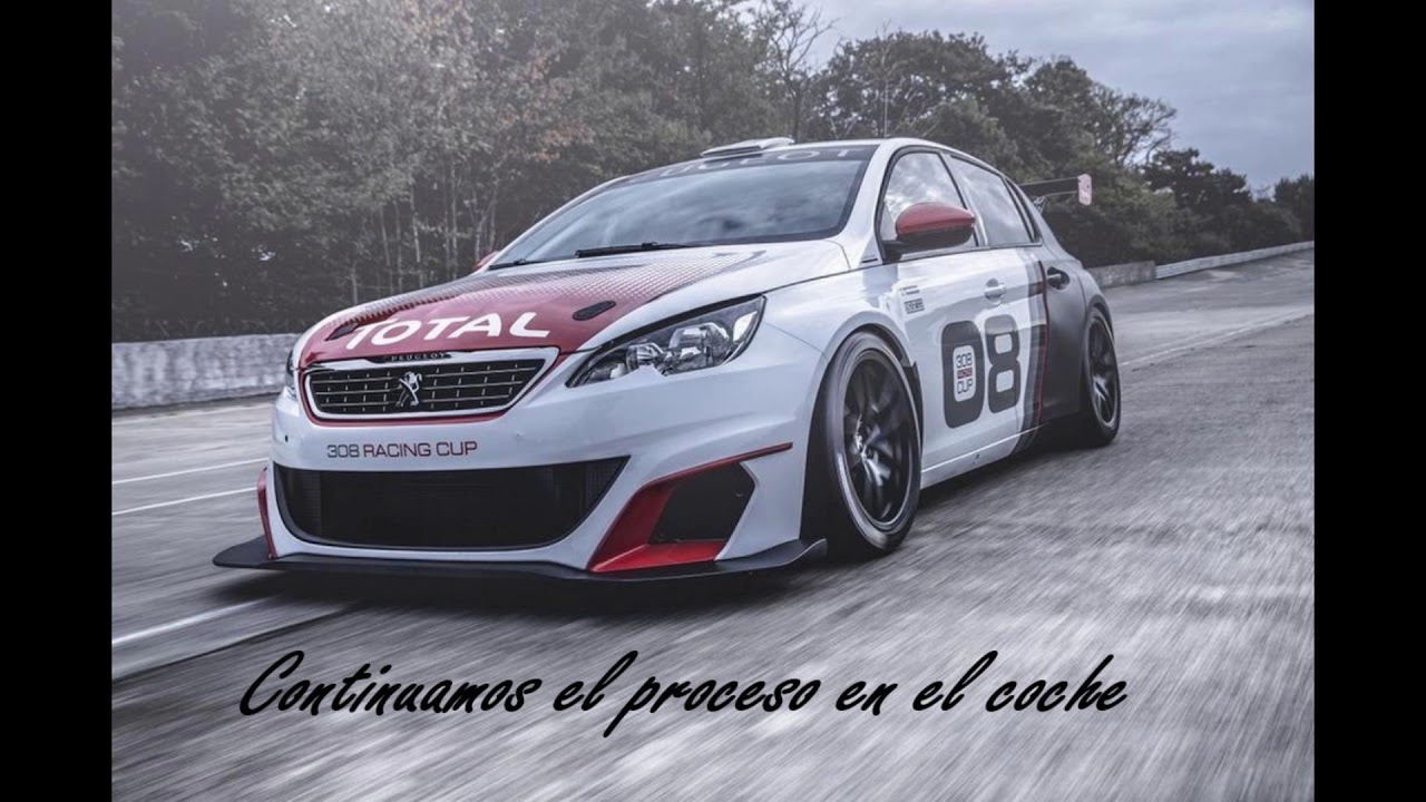 Actualizacion Smeg Smeg+ Smeg iv2 Citroen Peugeot