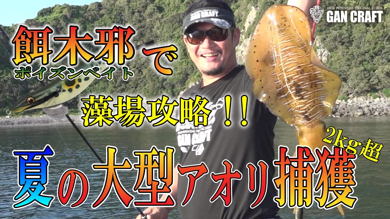 GAN CRAFT　夏の大型アオリイカを餌木邪で釣る！