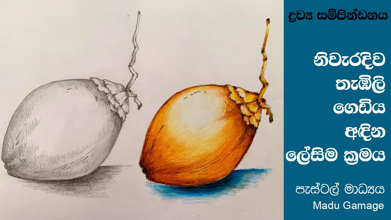 තැඹිලි ගෙඩිය නිවැරදිව අදිමු, Draw King coconut easily and correctly
