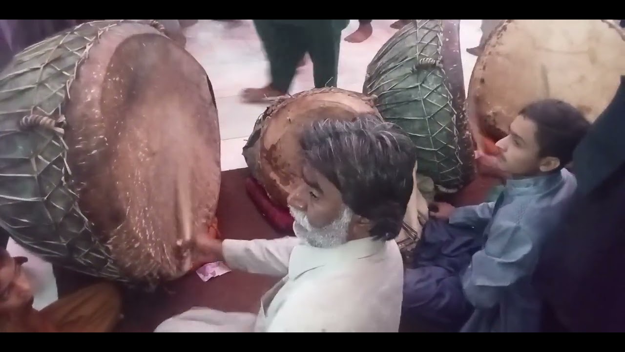 24 جمادى الاول 1444 ھ دھمال زيارت سخى لعل شھباز قلندر مست رحمت اللہ علیہ ☝🚩