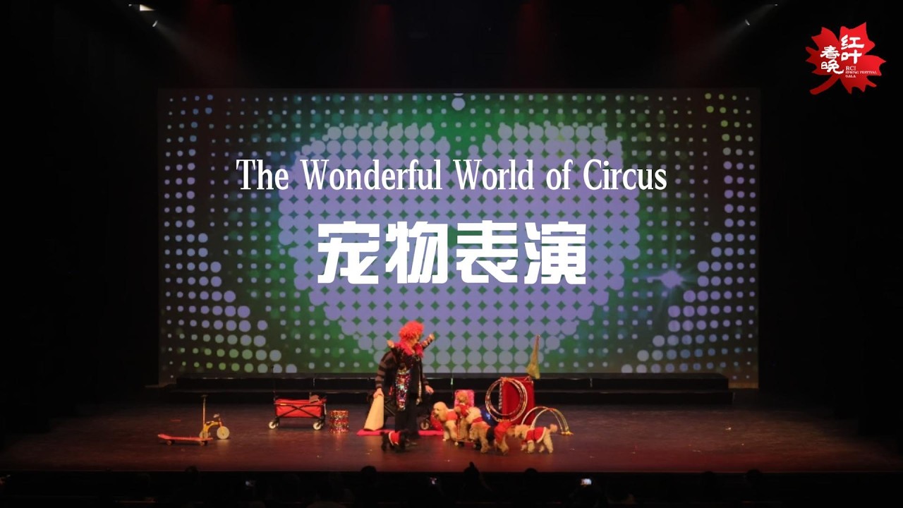 《Pet Show 宠物秀》I  表演: The Wonderful World of Circus